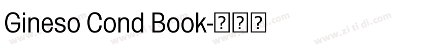 Gineso Cond Book字体转换